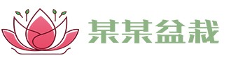 bvty宝威VIP·（中国区）官方网站